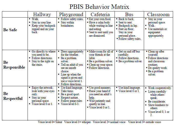 Behavior Matrix Template